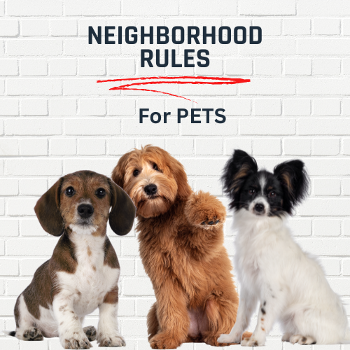 Responsible Pet Ownership: Outdoor Pets, Barking, and Quiet Hours